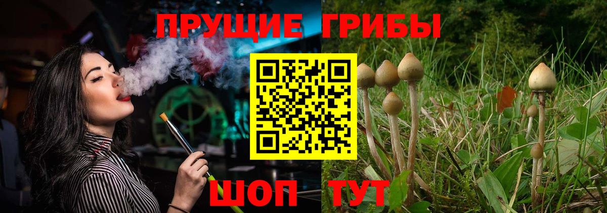 Галлюциногенные грибы GOLDEN TEACHER Чапаевск